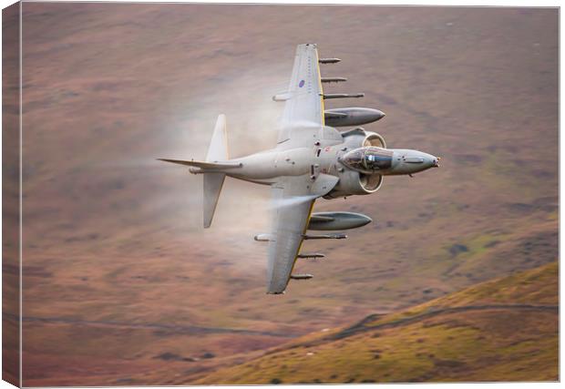RAF Harrier Canvas Print by Rory Trappe