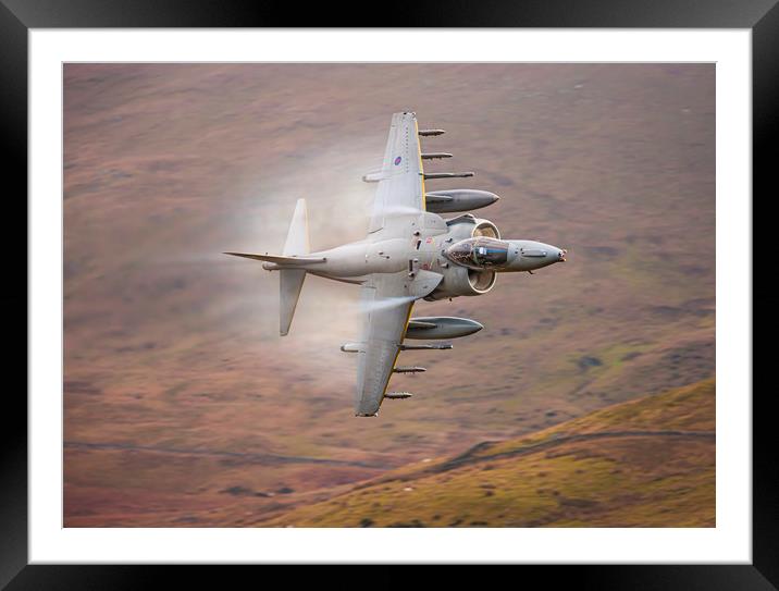 RAF Harrier Framed Mounted Print by Rory Trappe