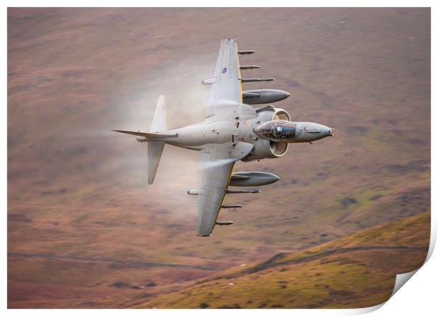 RAF Harrier Print by Rory Trappe