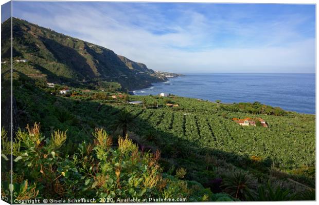 Tenerife's Beautiful Green North Canvas Print by Gisela Scheffbuch
