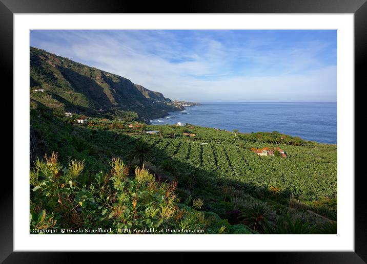 Tenerife's Beautiful Green North Framed Mounted Print by Gisela Scheffbuch
