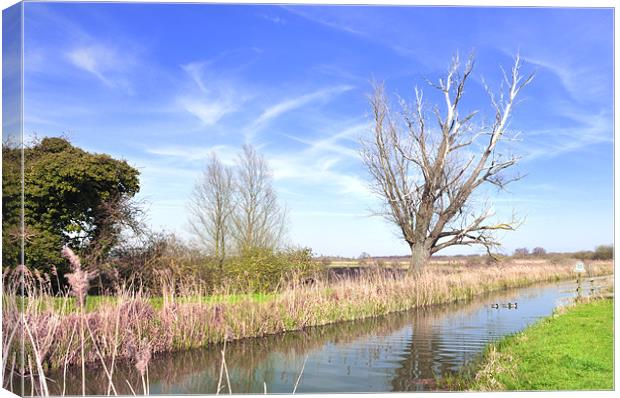 Fenland Scene - A view of a fen lode Canvas Print by Terry Pearce
