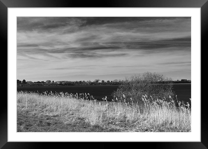 Fenland Scene - A black & white view Framed Mounted Print by Terry Pearce