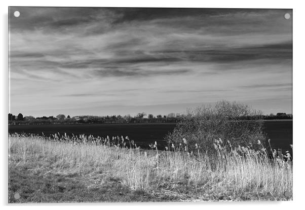 Fenland Scene - A black & white view Acrylic by Terry Pearce