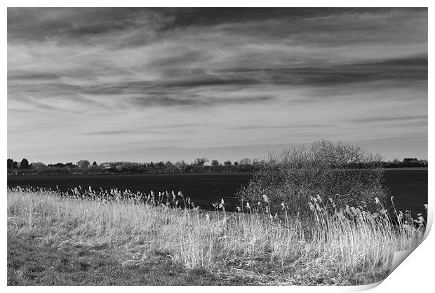 Fenland Scene - A black & white view Print by Terry Pearce