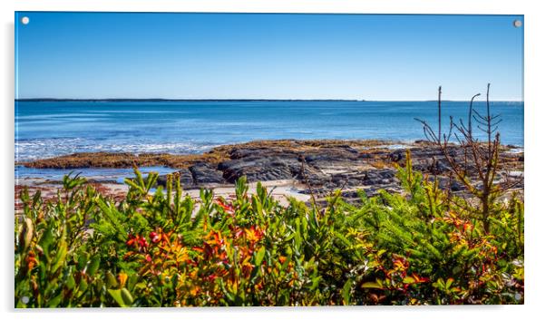Crescent Beach, Nova Scotia, Canada Acrylic by Mark Llewellyn