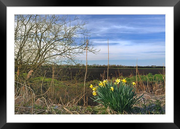 Fendland Scene on a spring day Framed Mounted Print by Terry Pearce