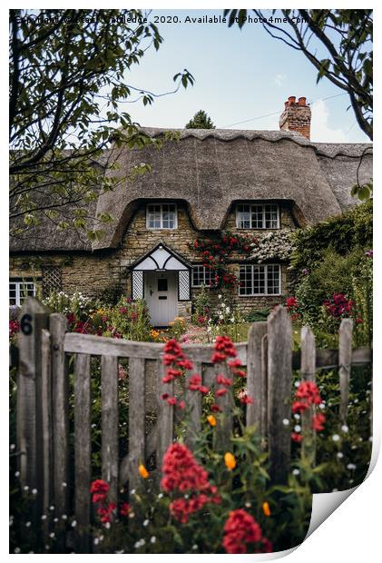Thatched Cottage, England Print by Stacy Cartledge