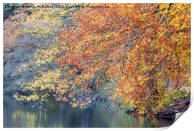 Autumn reflections, Yorkshire Dales National Park, Print by Wendy McDonnell