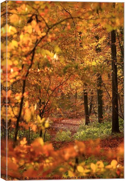 Path through the ASutumn Woods Cotswolds Canvas Print by Simon Johnson
