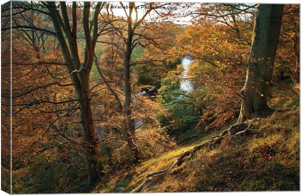 Autumn sunset, Wensleydale, Yorkshire Dales  Canvas Print by Wendy McDonnell