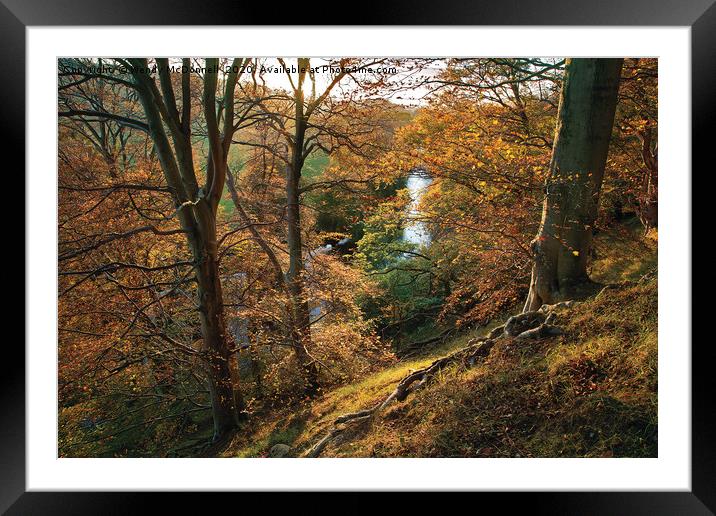 Autumn sunset, Wensleydale, Yorkshire Dales  Framed Mounted Print by Wendy McDonnell
