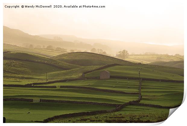 Afternoon sun over a barn of Wensleydale, Dales   Print by Wendy McDonnell
