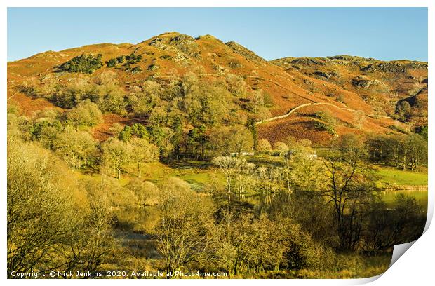Loughrigg Fell Lake District Winter Cumbria Print by Nick Jenkins