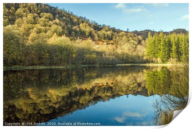 Yew Tree Tarn reflections Coniston Lake District Print by Nick Jenkins