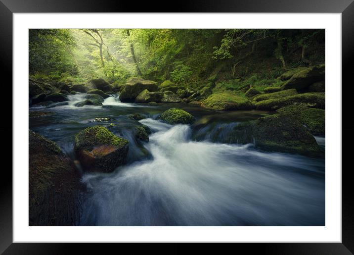 Shaugh Prior Framed Mounted Print by Chris Frost