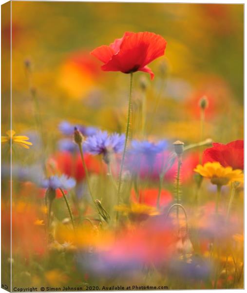 Poppy and wild flowers Canvas Print by Simon Johnson