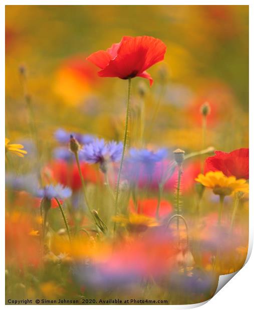 Poppy and wild flowers Print by Simon Johnson