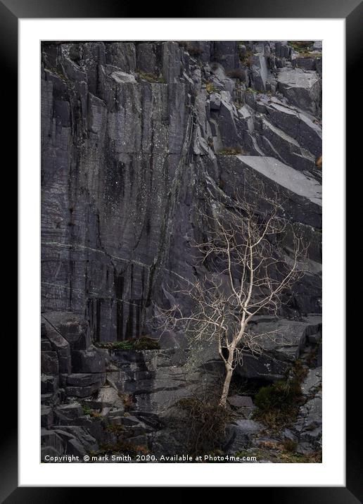 White Tree, Dinorwig Framed Mounted Print by mark Smith