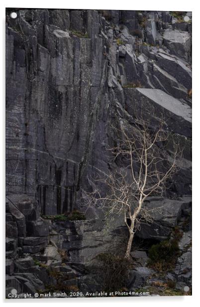 White Tree, Dinorwig Acrylic by mark Smith