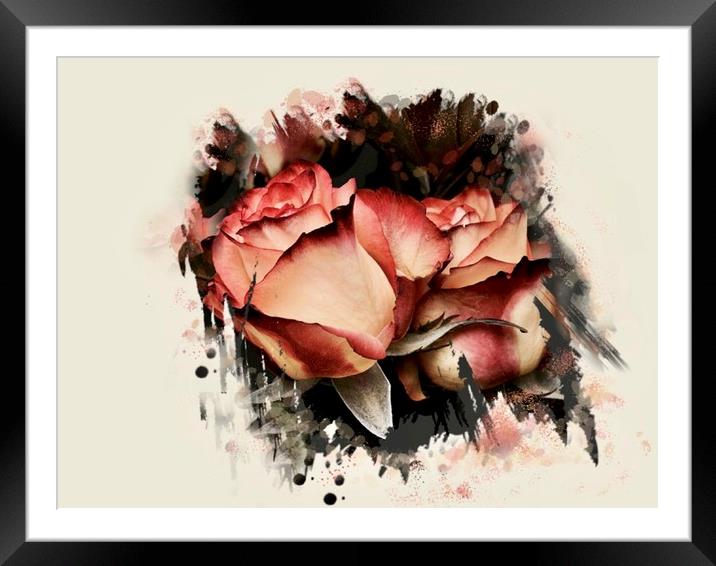 Modern Pink Rose Bouquet Framed Mounted Print by Beryl Curran