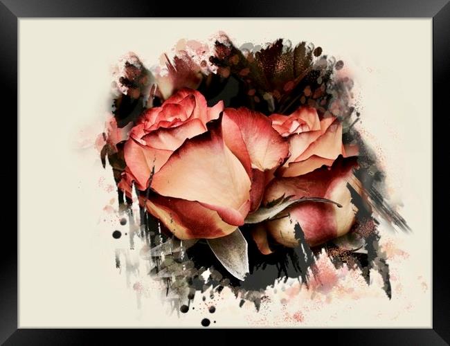 Modern Pink Rose Bouquet Framed Print by Beryl Curran