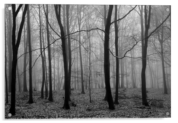 Misty Woodland Acrylic by Simon Johnson
