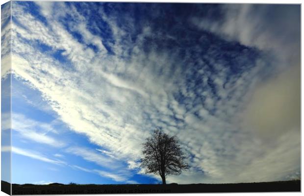 Tree and Clouds Canvas Print by Simon Johnson