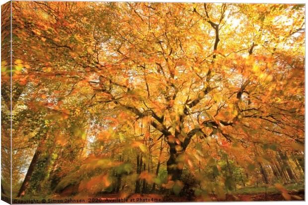 Beech Woodland In autumn gale Canvas Print by Simon Johnson