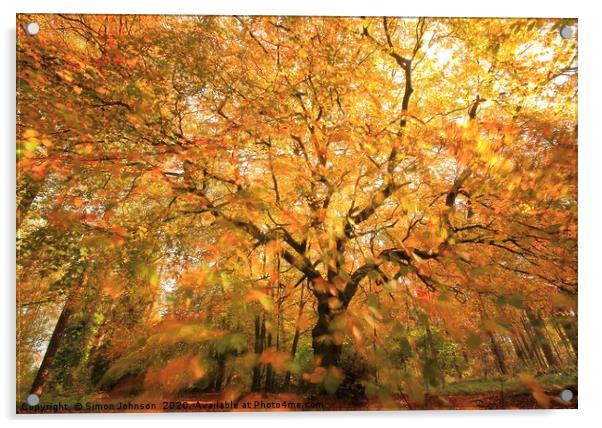 Beech Woodland In autumn gale Acrylic by Simon Johnson