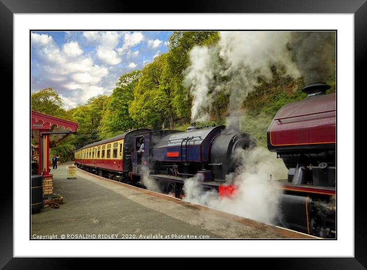 "All aboard for Lakeside" Framed Mounted Print by ROS RIDLEY