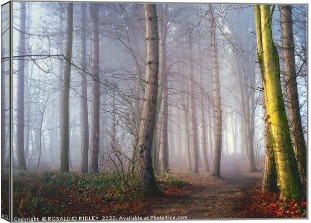 "A distant light in a foggy wood" Canvas Print by ROS RIDLEY