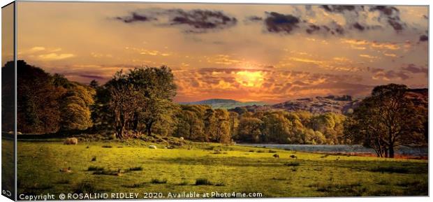 "Evening light near Coniston" Canvas Print by ROS RIDLEY