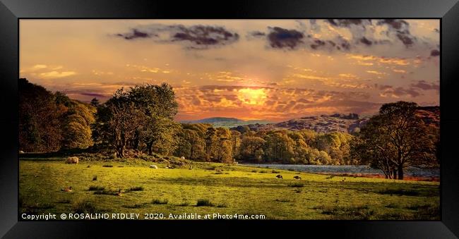 "Evening light near Coniston" Framed Print by ROS RIDLEY