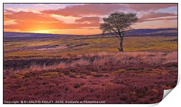 "Sunset across the moors" Print by ROS RIDLEY
