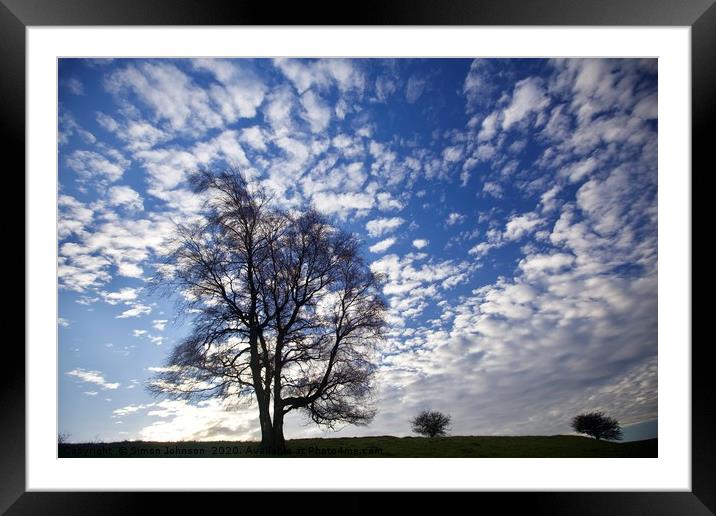 Three trees against a dramatic sky Framed Mounted Print by Simon Johnson