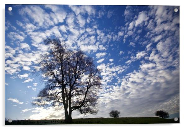 Three trees against a dramatic sky Acrylic by Simon Johnson