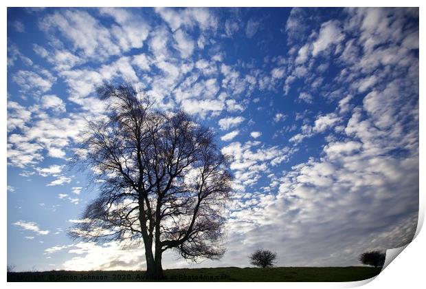 Three trees against a dramatic sky Print by Simon Johnson
