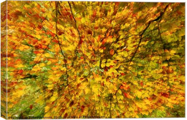 Leaf explosion Canvas Print by Simon Johnson