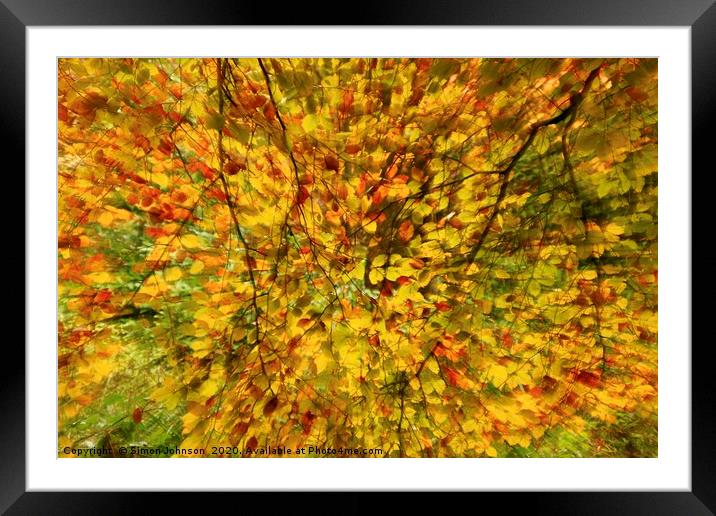 Leaf explosion Framed Mounted Print by Simon Johnson