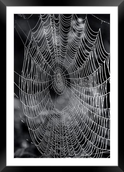 cobweb close up.  Framed Mounted Print by Simon Johnson