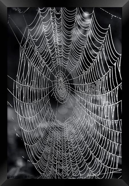 cobweb close up.  Framed Print by Simon Johnson