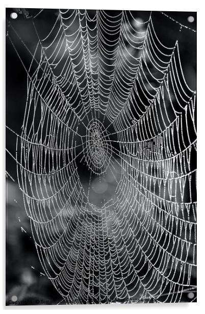 cobweb close up.  Acrylic by Simon Johnson