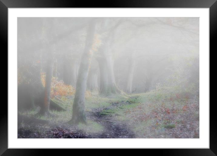 Misty Woodland Framed Mounted Print by Stephen Marsh