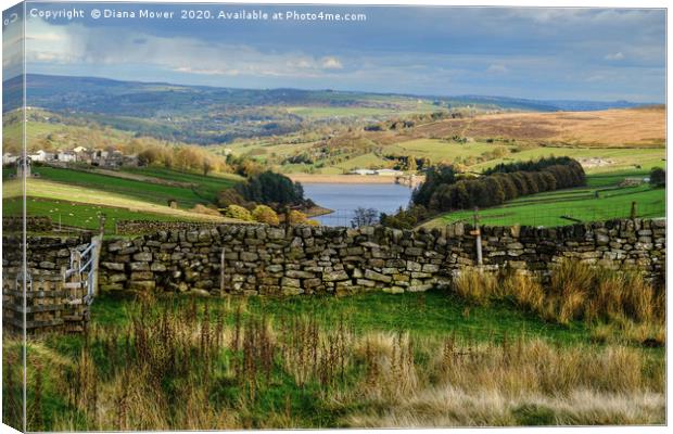 Lower Laithe Reservoir  Canvas Print by Diana Mower