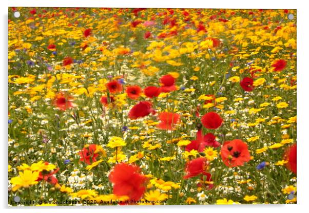 Summer meadow Acrylic by Simon Johnson