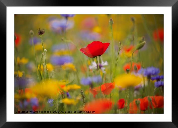 Meadow flowers Framed Mounted Print by Simon Johnson