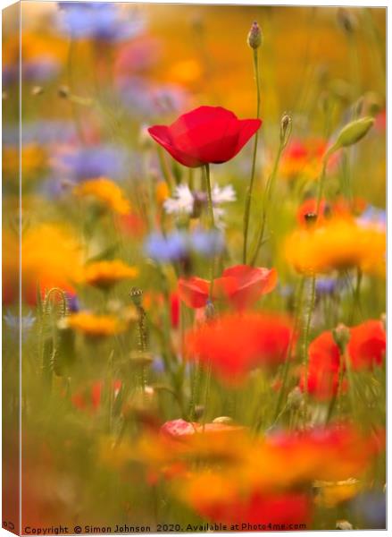 Poppy and summer meadow flowers Canvas Print by Simon Johnson