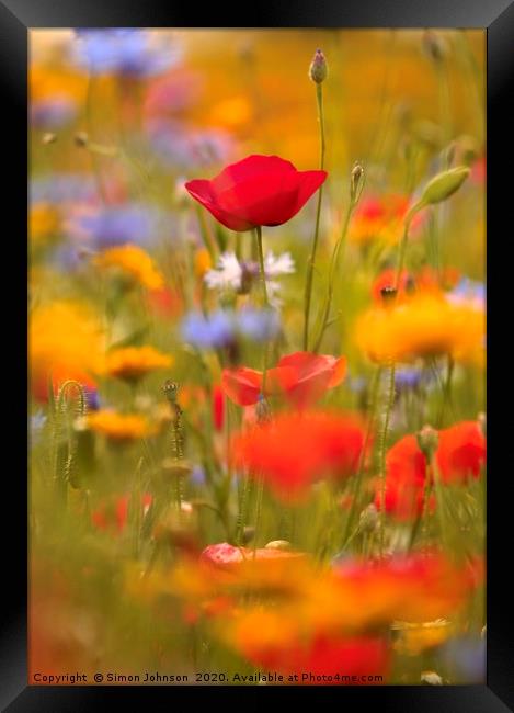 Poppy and summer meadow flowers Framed Print by Simon Johnson
