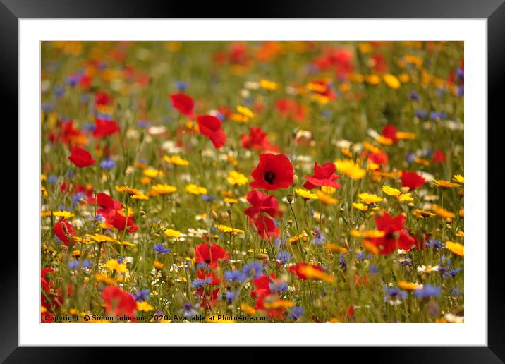 Poppy and wild flower meadow Framed Mounted Print by Simon Johnson